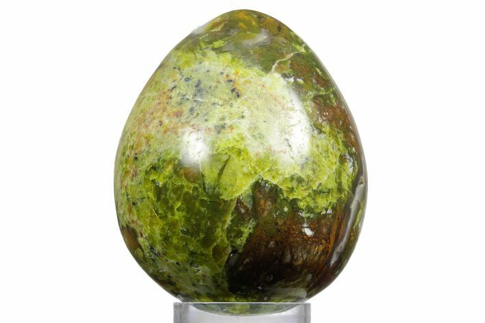 Polished Green Opal Egg - Madagascar #356165